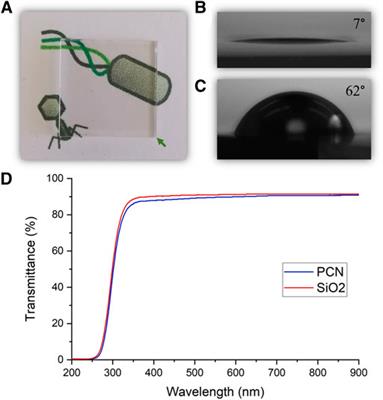 A Novel Copper-Binding Peptide That Self-Assembles Into a Transparent Antibacterial and Antiviral Coating